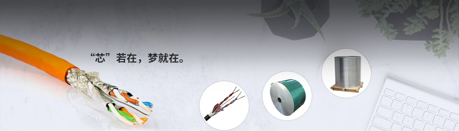 塑料塗層鋁帶用於電纜